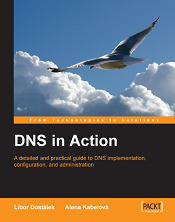 DNS in Action (PDF <font color=red><b>英文</b></font>版)