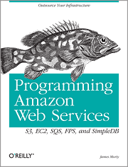 <font color=red><b>Programming</b></font> Amazon Web Services: S3, EC2, SQS, FPS, and SimpleDB