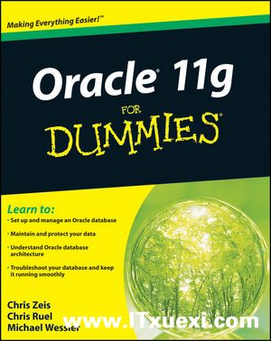 O<font color=red><b>rac</b></font>le 11g For Dummies (PDF英文版)